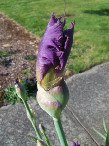 Heidi's School Pics 005
