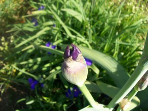 Heidi's School Pics 012