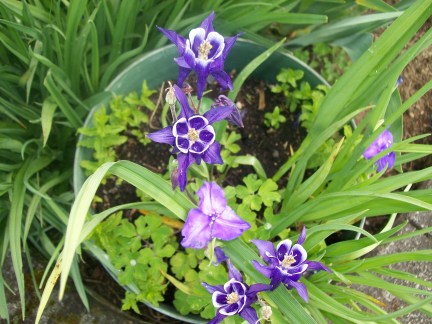 Heidi's School Pics 059