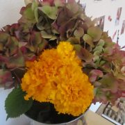 The Marigold School of Early Learning: Specifically Designed for Children Ages Three to Five